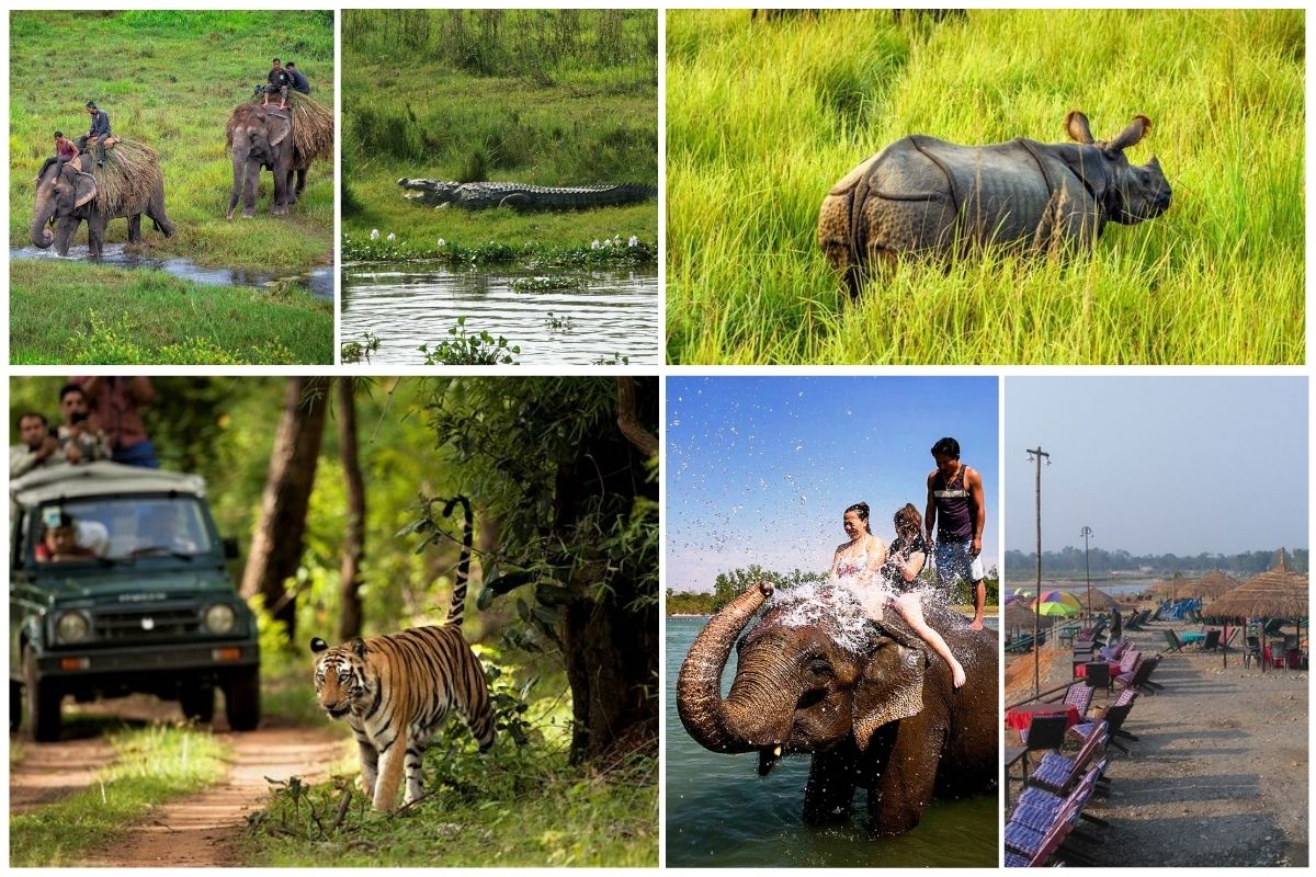 Chitwan