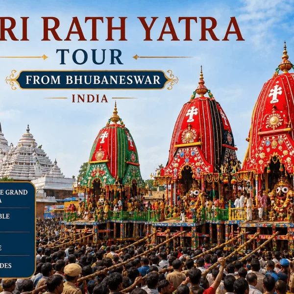 Puri Rath Yatra Tour From Bhubaneswar India