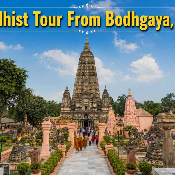 Buddhist Tour From Bodhgaya, India